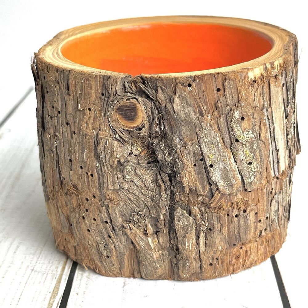 Tree Stump Bowl Vase Pot Live Edge Tree Bark Handcrafted Signed Orange Interior